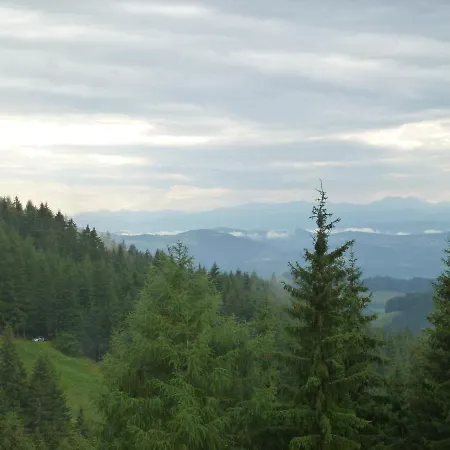 Almhuette - Schwaig