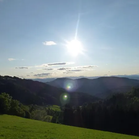 Holiday home Almhuette - Schwaig