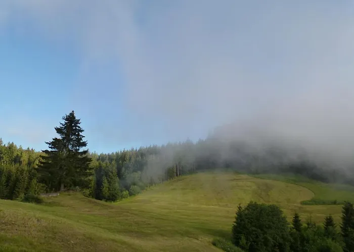 Almhuette - Schwaig * Eberstein